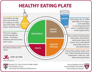 The right food to eat as depicted in Harvard Medical School's Healthy Eating Plate graphic