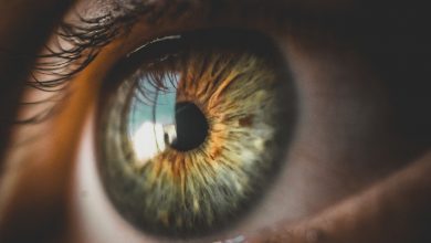 Eyes and Vision Changes with Aging. Proven Facts and 13 Eye Conditions. 3 eyes image