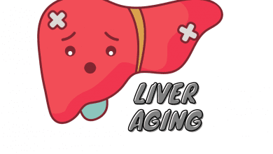 Little-Known Facts About Liver Aging. 8 Steps To Be Taken To Slow Down Aging. 13 liver aging