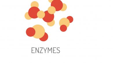 an image of enzymes