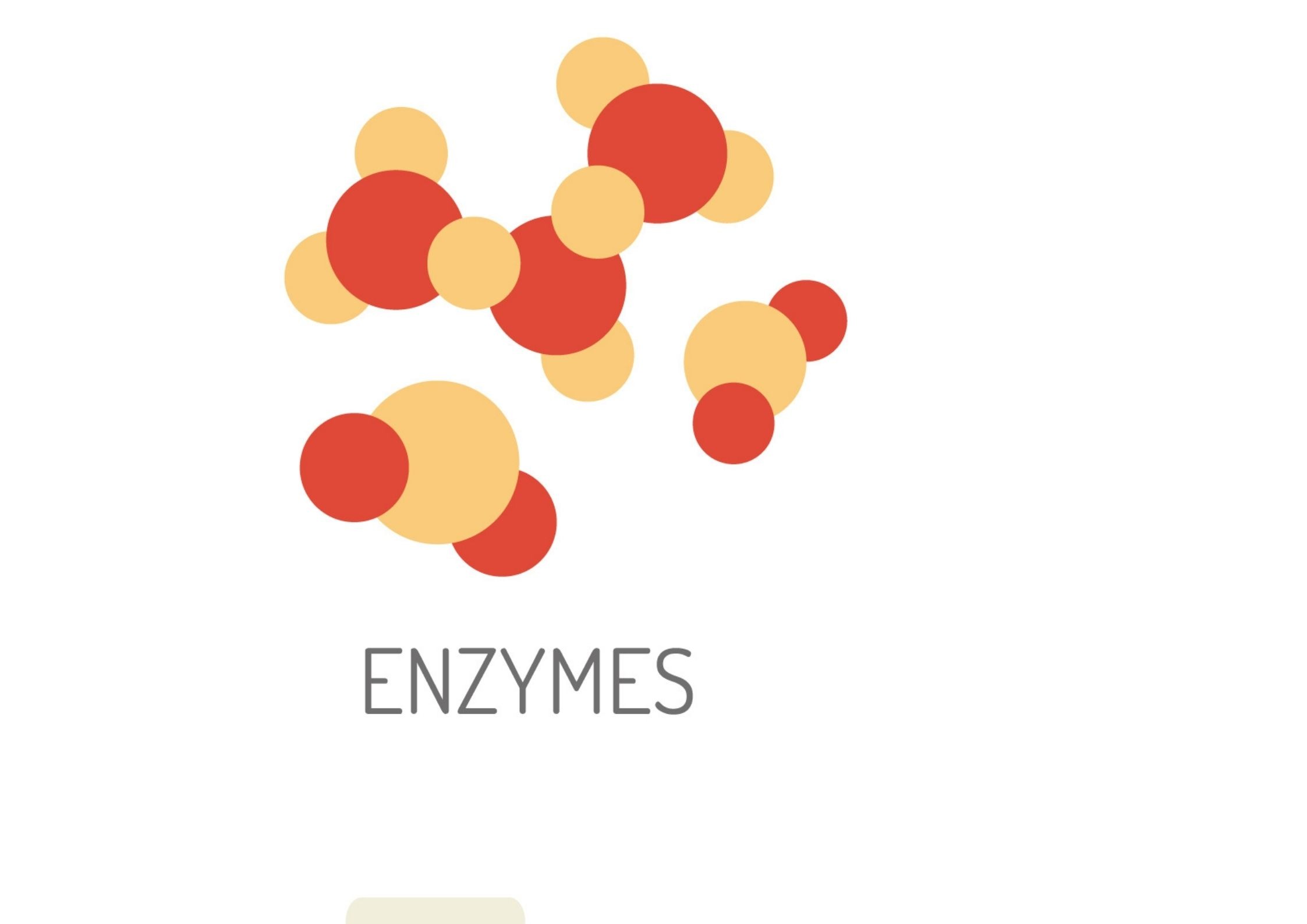 an image of enzymes