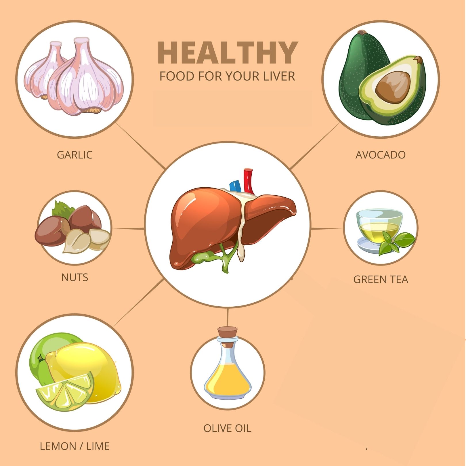 Liver Friendly Foods For a Better Liver Health. The Top 12 Explained. 1 liver-friendly foods for better liver health