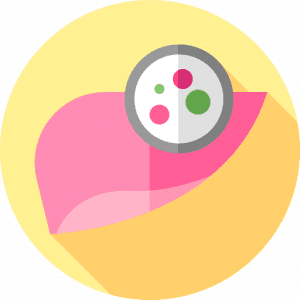 liver cancer 