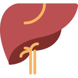 Little-Known Facts About Liver Aging. 8 Steps To Be Taken To Slow Down Aging. 2 liver aging