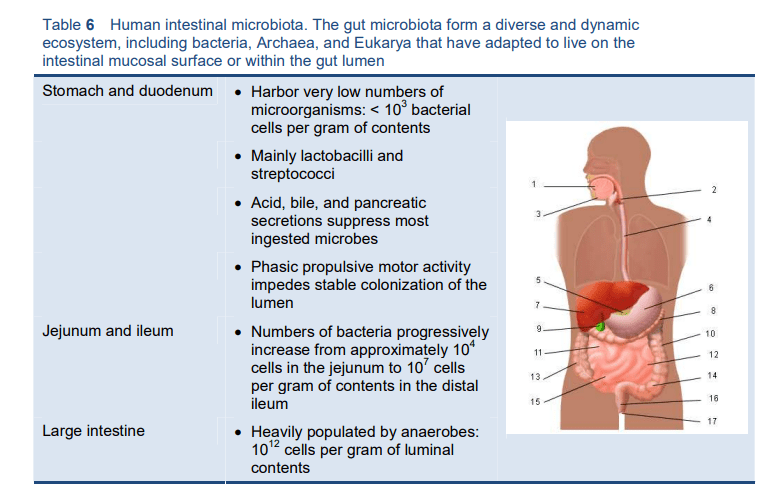 probiotics location