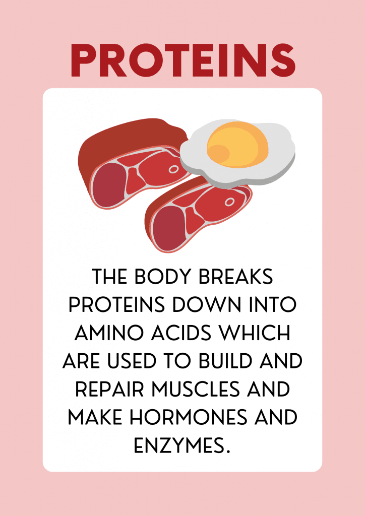 Top 15 Protein Rich Foods. What is a Protein Rich Diet & How Much to Consume? 2 protein rich foods