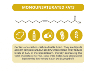 mono unsaturated fats