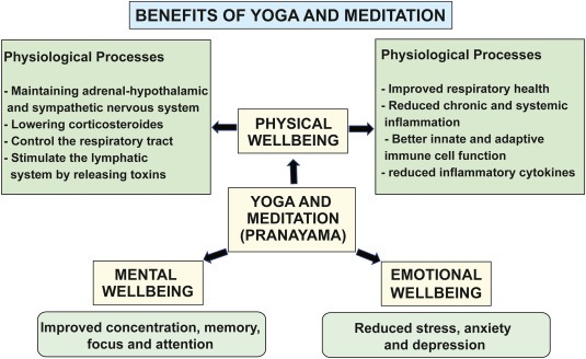 10 Effective Types of Meditation. 2 types of meditation