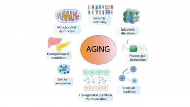Best Suplements to Reverse Hallmarks of Aging. 7 Hallmarks of Aging