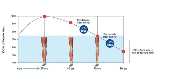 Muscle Training For Women. Why is It Important With Aging? 5 Myth Busters. 2 muscle training and loss over age