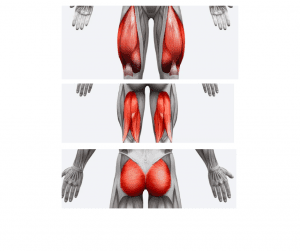Muscle Training For Women. Why is It Important With Aging? 5 Myth Busters. 7 lower msucle training