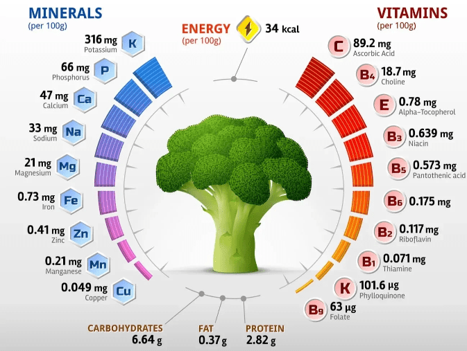brocolli as nutrient-rich food