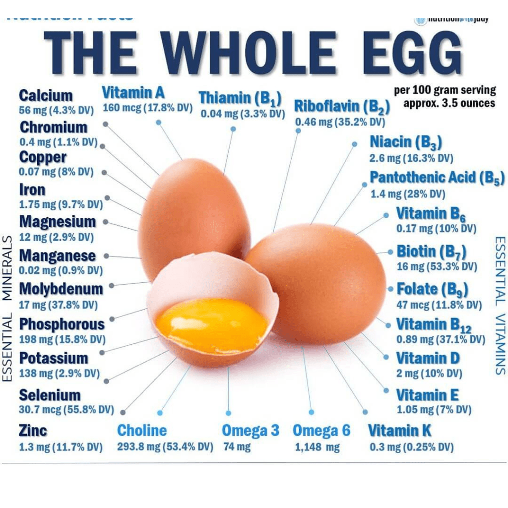egg as nutrent-rich food