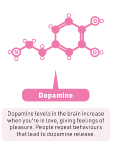 The Chemicals of Love: Unleashing the Powerful Science Within. 3 dopamine as chemical of love