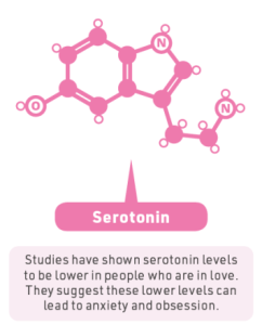 The Chemicals of Love: Unleashing the Powerful Science Within. 4 serotonin as chemicals of love