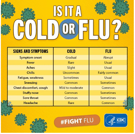 cold and flu 