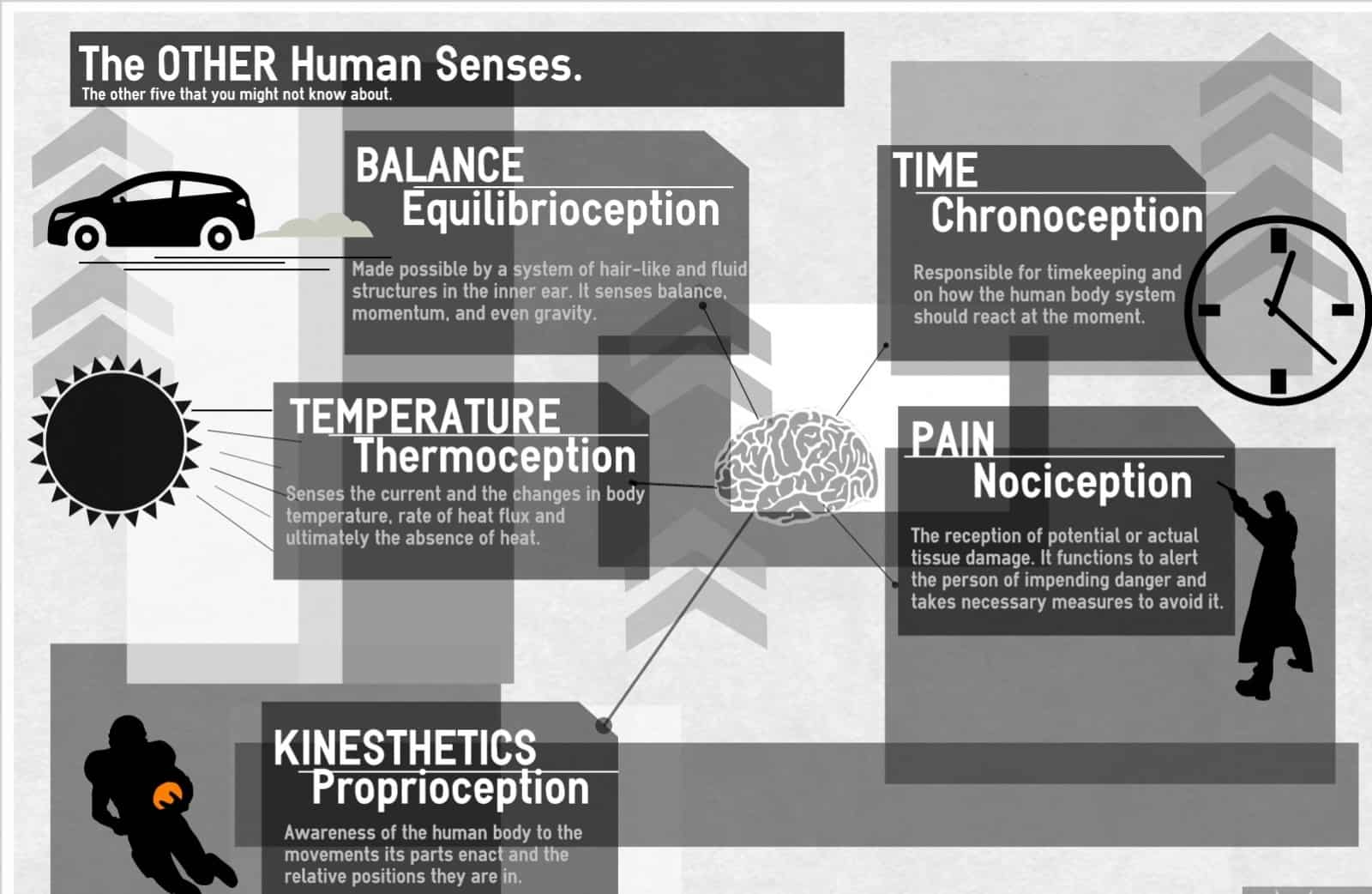 Debunking the Myth of 5 Human Senses. Unlocking Their Hidden Potential 5 124267TheOTHERHumanSensesimage 1