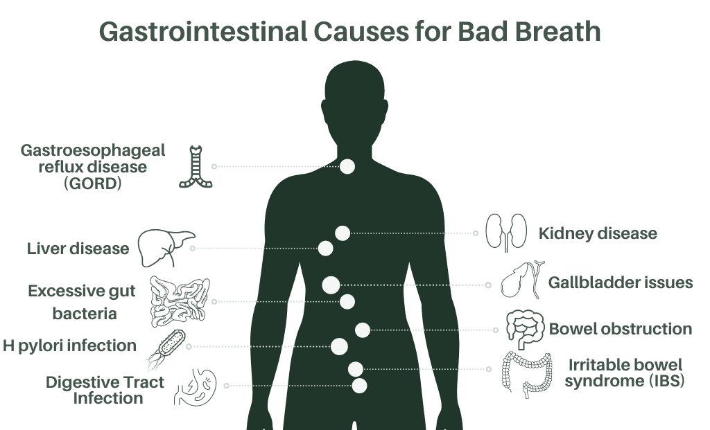 causes of halitosis