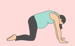 Post-Pregnancy Belly Transformation- Exercises and 6 Quick Tips for a Stronger Postpartum Abdomen 4 images