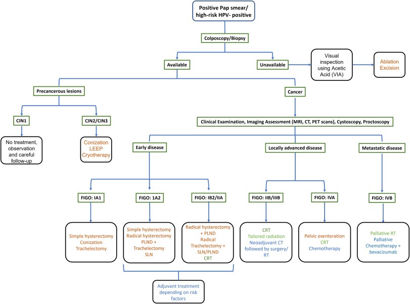 What is The Best Treatment of Cervical Cancer? A Guideline to Preventing Cervical Cancer. 2 1 s2.0 S2666679022000040 gr2