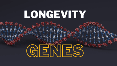 longevity genes