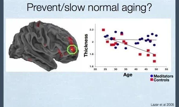 The Power of Meditation- Proven Practices for Mind and Body Wellness 3 how meditation affects your brain aging